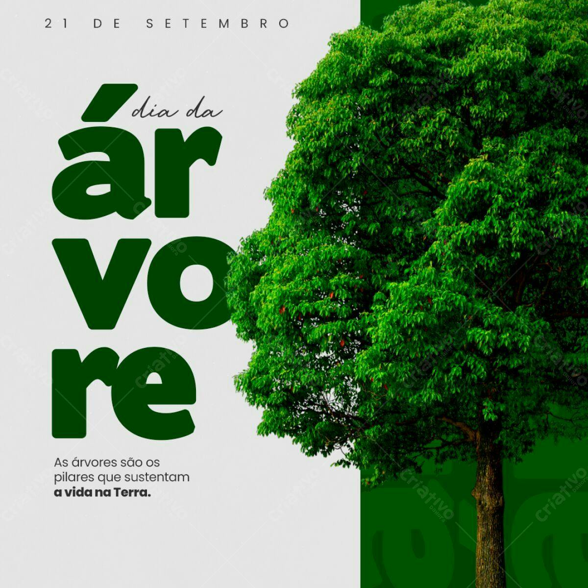 Post para o Dia da Árvore PSD Editável