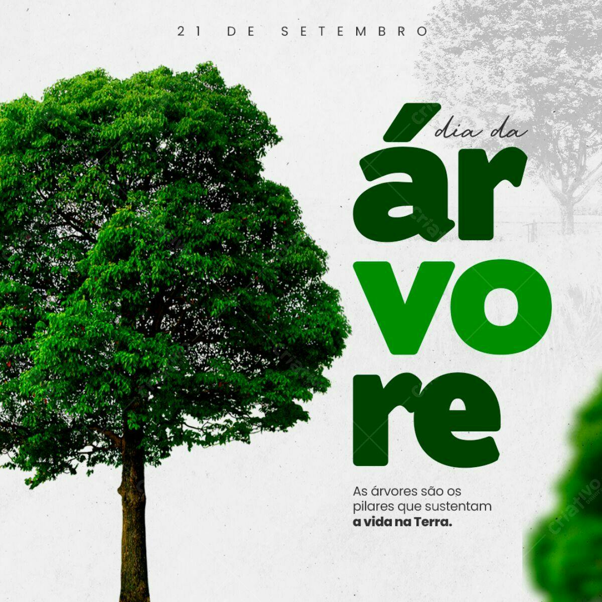 Postagem Dia da Árvore PSD Editável