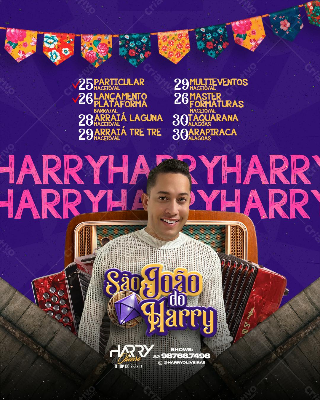 Flyer São João do Harry PSD Editável