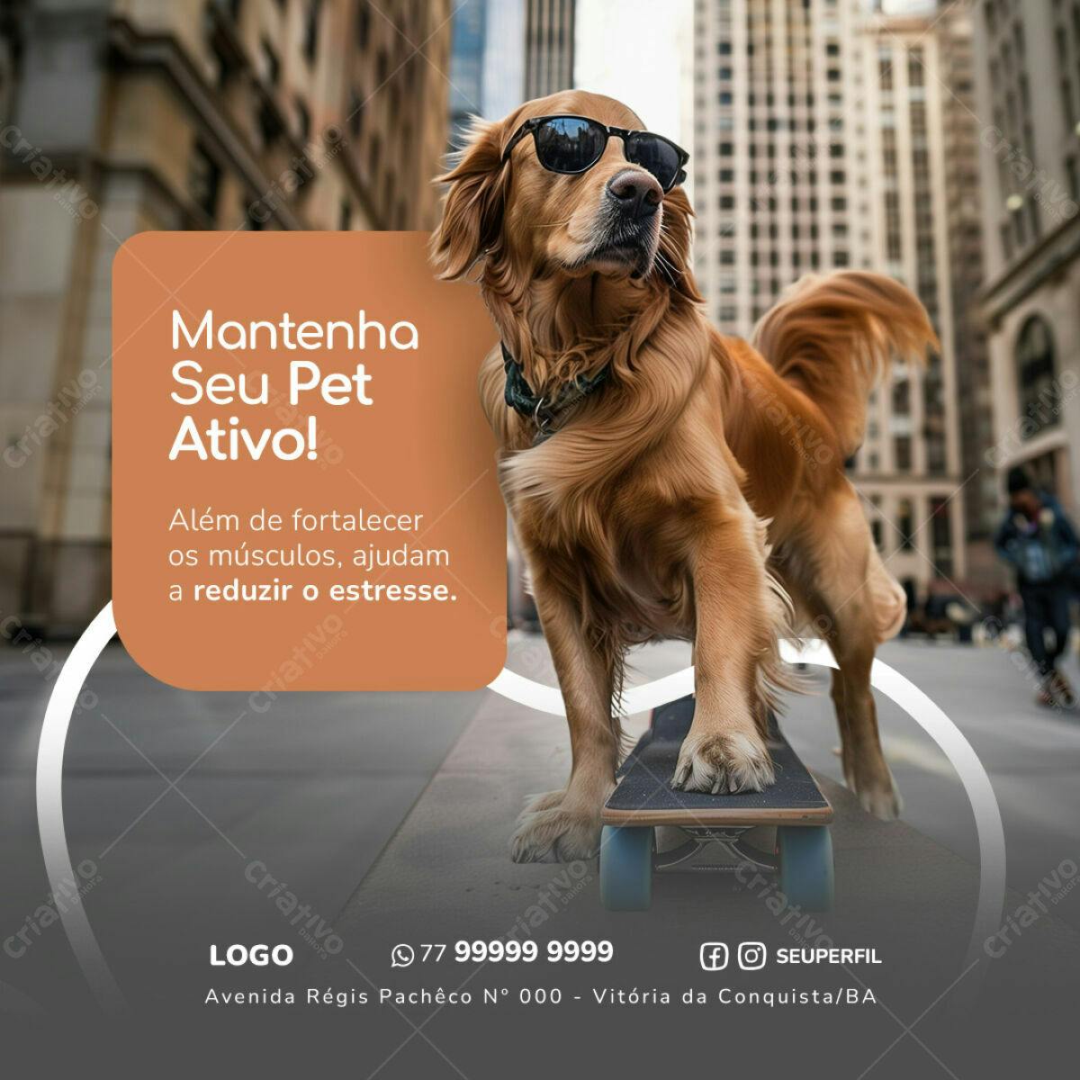 Post para Pet Shop PSD Editável