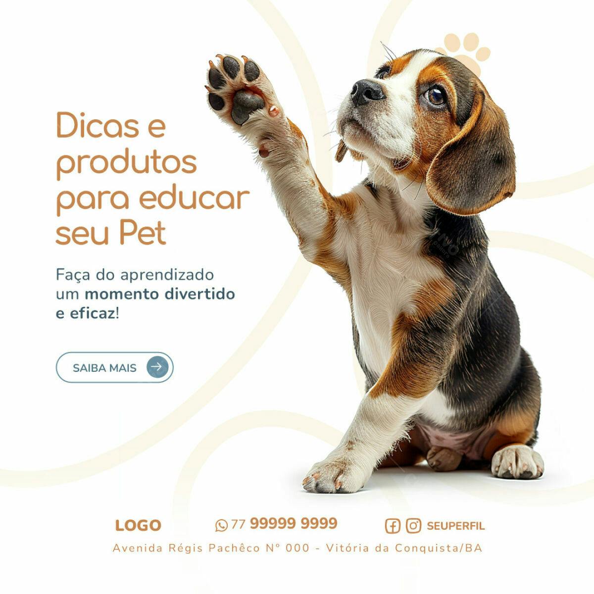 Post para Treinamento de Pets PSD Editável