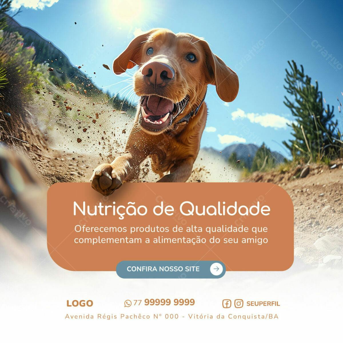 Postagem para Redes Sociais com Cachorro PSD Editável