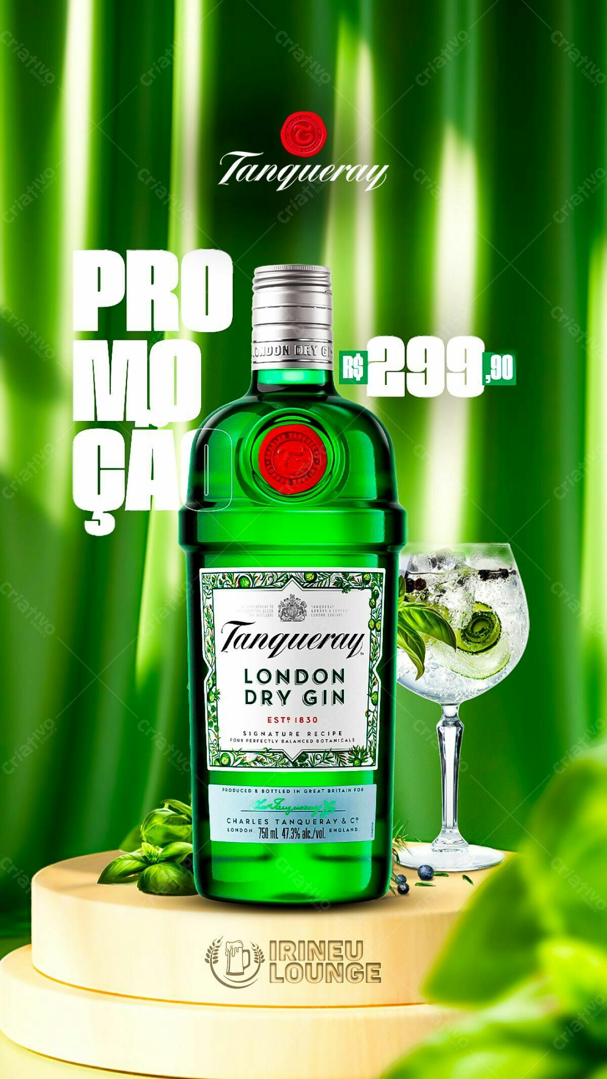 Flyer Promoção Tanqueray Gin PSD Editável