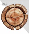 High quality wooden 3d element for composition