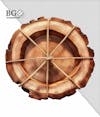 High quality wooden 3d element for composition