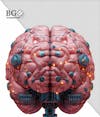 High quality 3d brain for composition