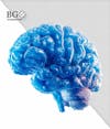 High quality 3d brain for composition