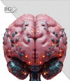 High quality 3d brain for composition