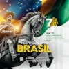 7th of september brazilian independence day feed 6