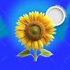 Yellow sunflower 3d element for psd composition