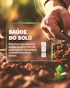 Agro social media saúde do solo