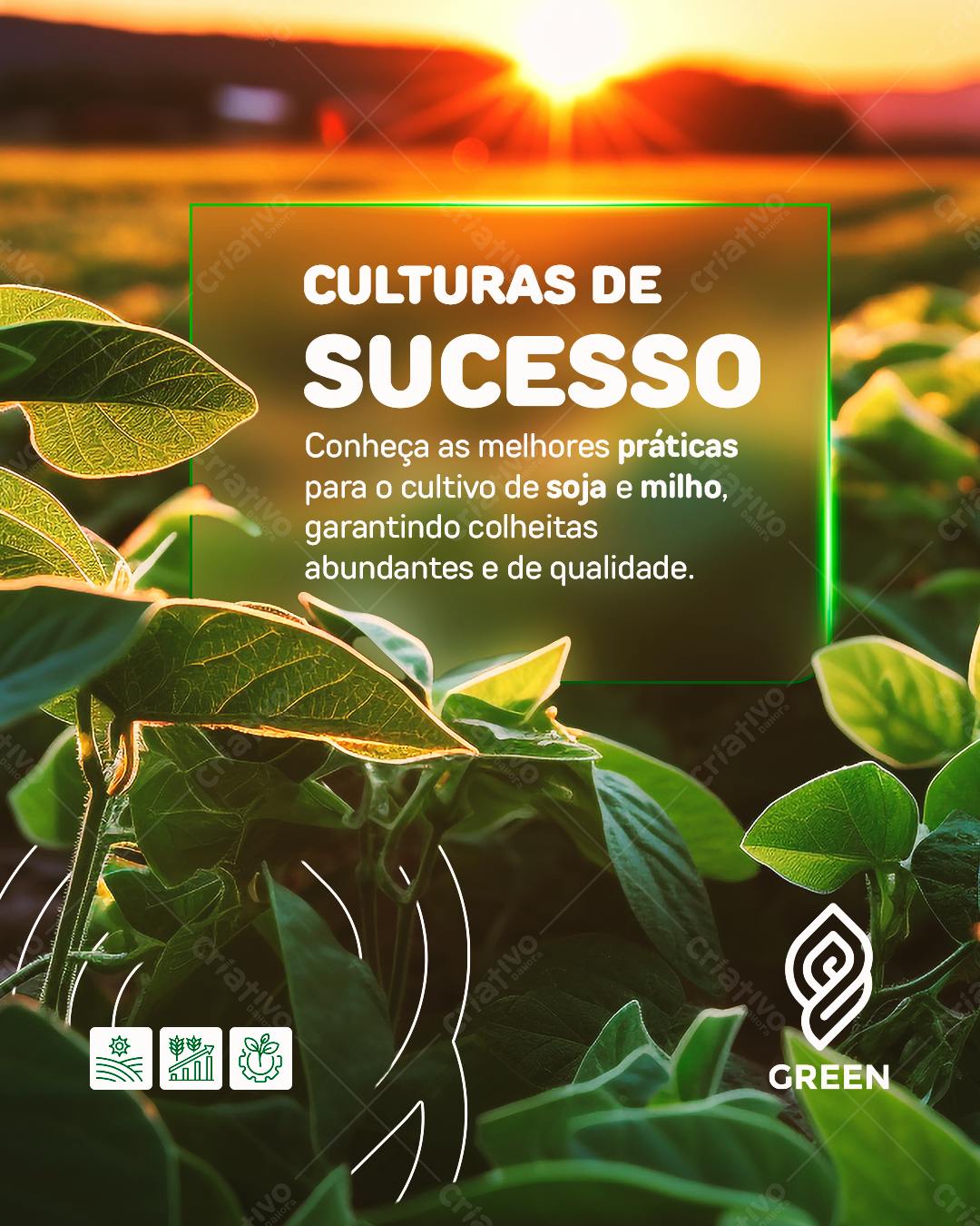 Post para Agricultura - Culturas de Sucesso PSD Editável