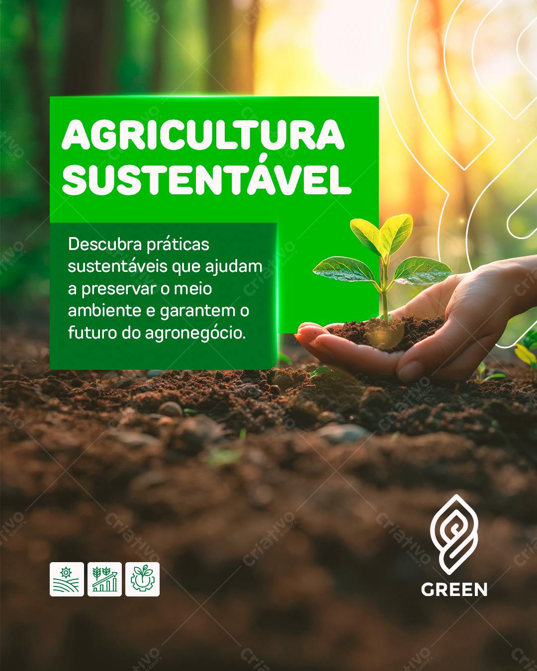 Post para Agricultura Sustentável PSD Editável