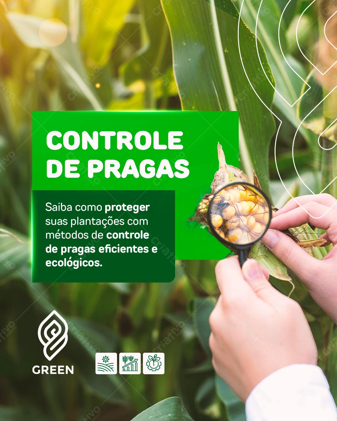 Post para Controle de Pragas PSD Editável
