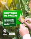 Agro social media