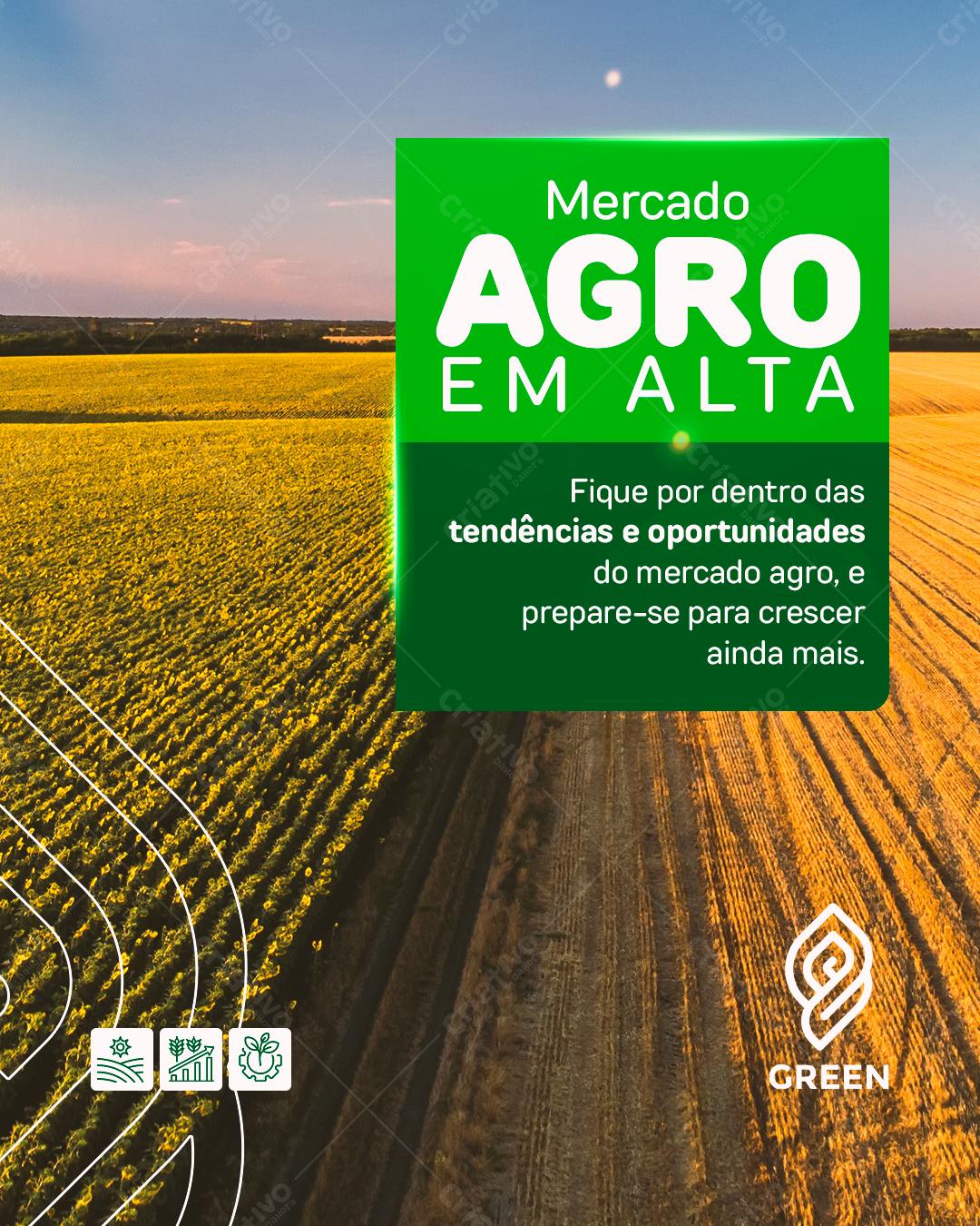 Flyer Mercado Agro em Alta PSD Editável