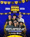 Ressaca junina solidária 2024 (feed e stories)