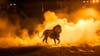 Image of a lion with smoke and soccer stadium