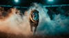 Image of a lion with smoke and a soccer stadium.