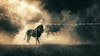 Lion image with smoke and soccer stadium