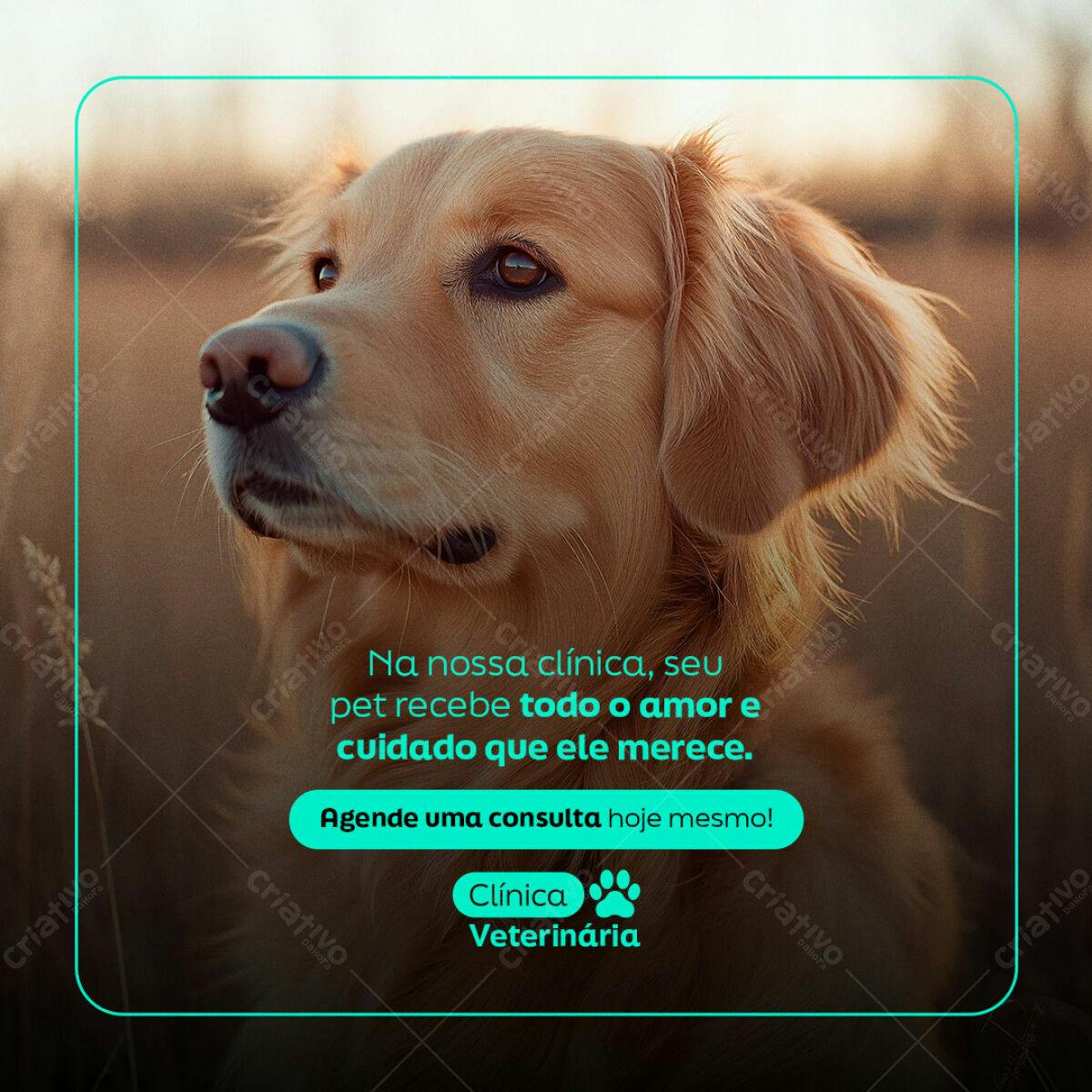 Post para Clínica Veterinária PSD Editável
