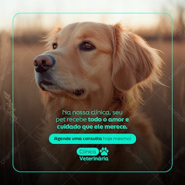 Pet shop social media post psd editavel 3