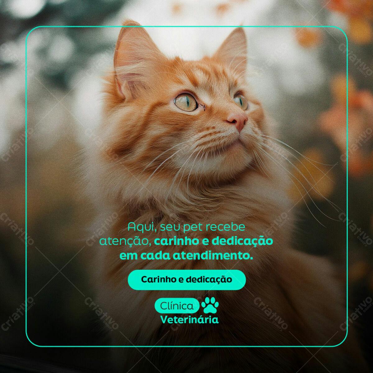 Post para Clínica Veterinária PSD Editável