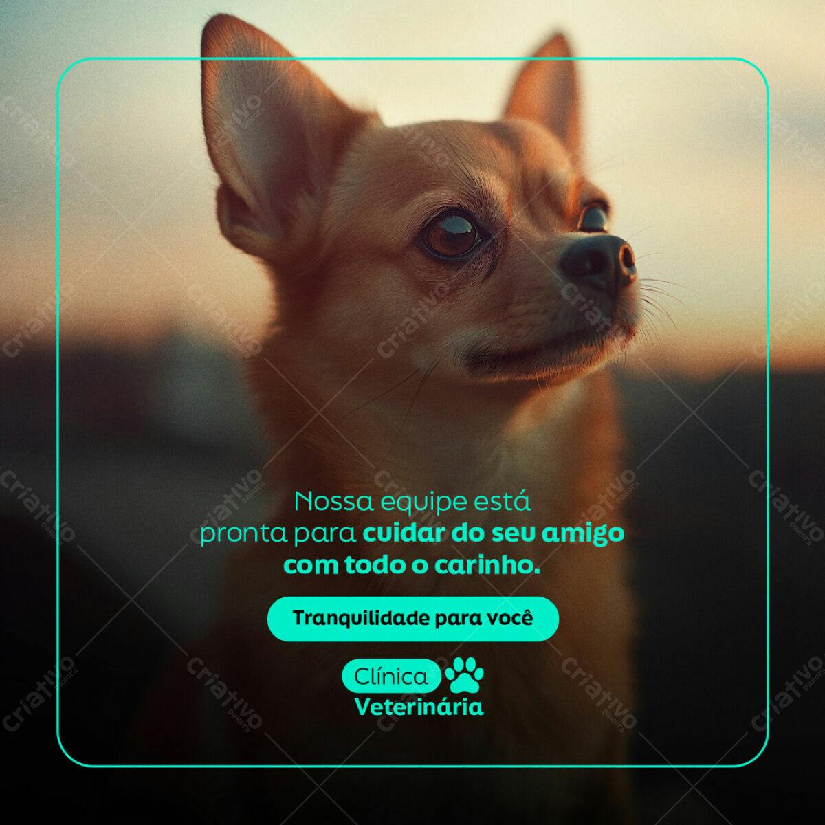 Post para Clínica Veterinária PSD Editável