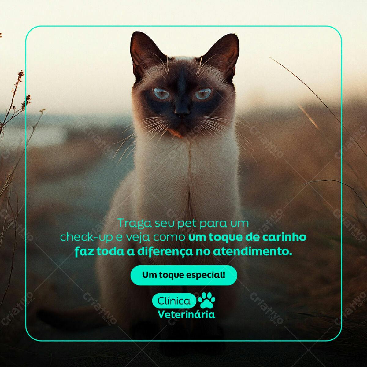 Post para Clínica Veterinária PSD Editável