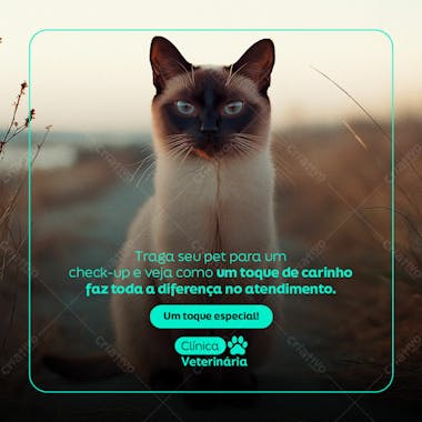 Pet shop social media post psd editavel 10