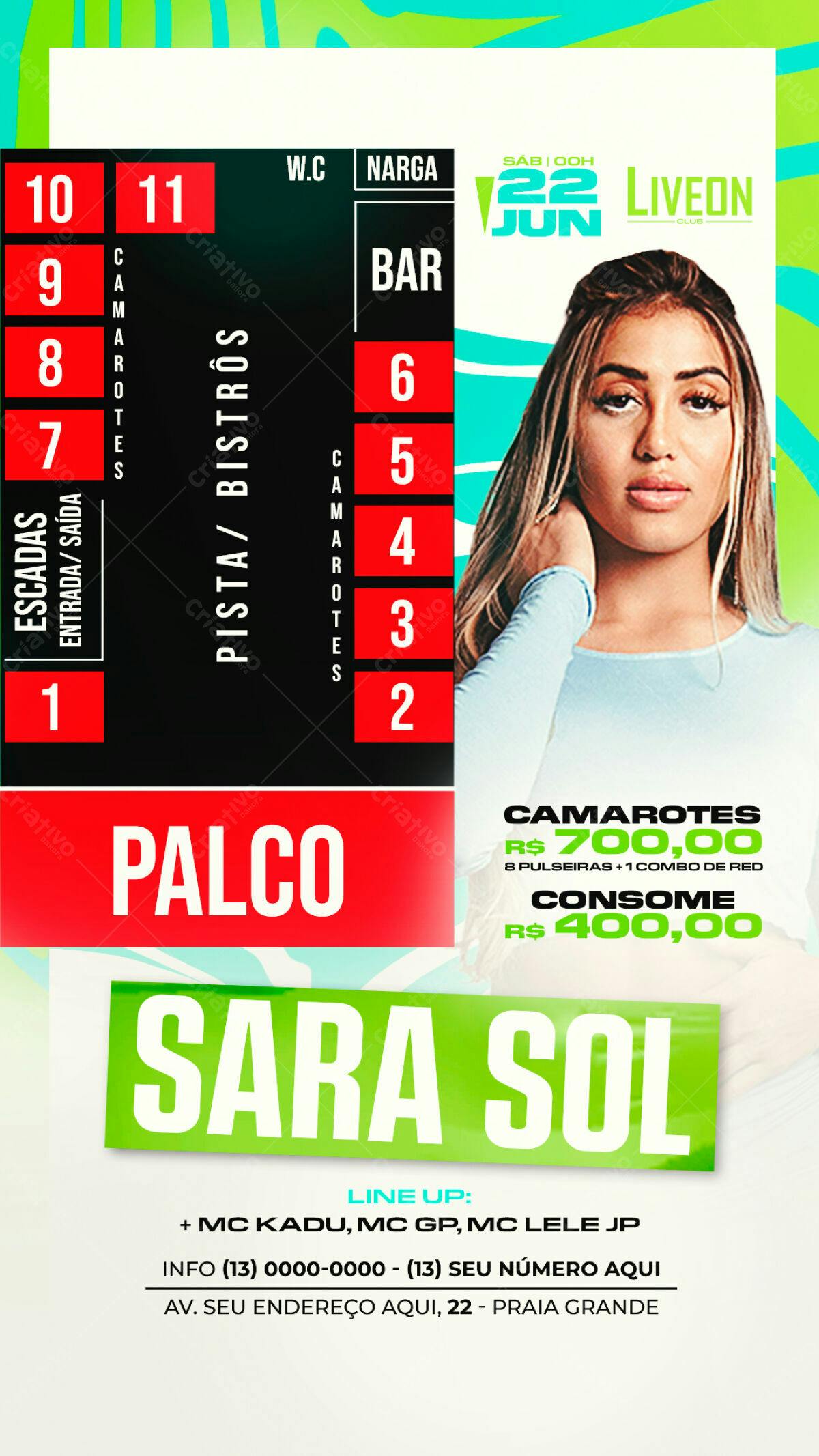 Flyer para Festa com Sara Sol PSD Editável