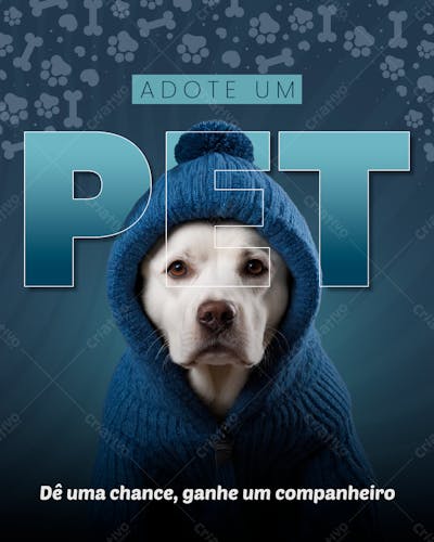 Adote Um Pet  Social Media  Feed