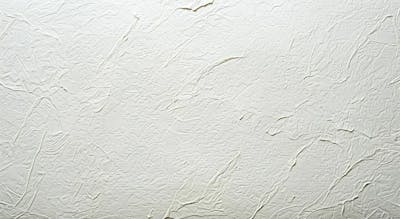 Designerdamissao White Paper Back