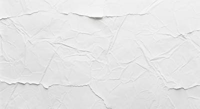 Designerdamissao White Paper Back
