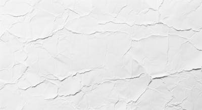 Designerdamissao White Paper Back