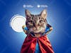 Animal element pet png hero cat cover 1