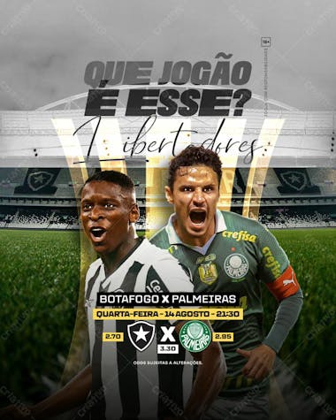 Jogo do dia botafogo x palmeiras (feed e stories)