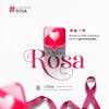 Pink october international breast cancer awareness campaign feed