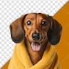 3d element dog pet shop wrapped in a yellow towel