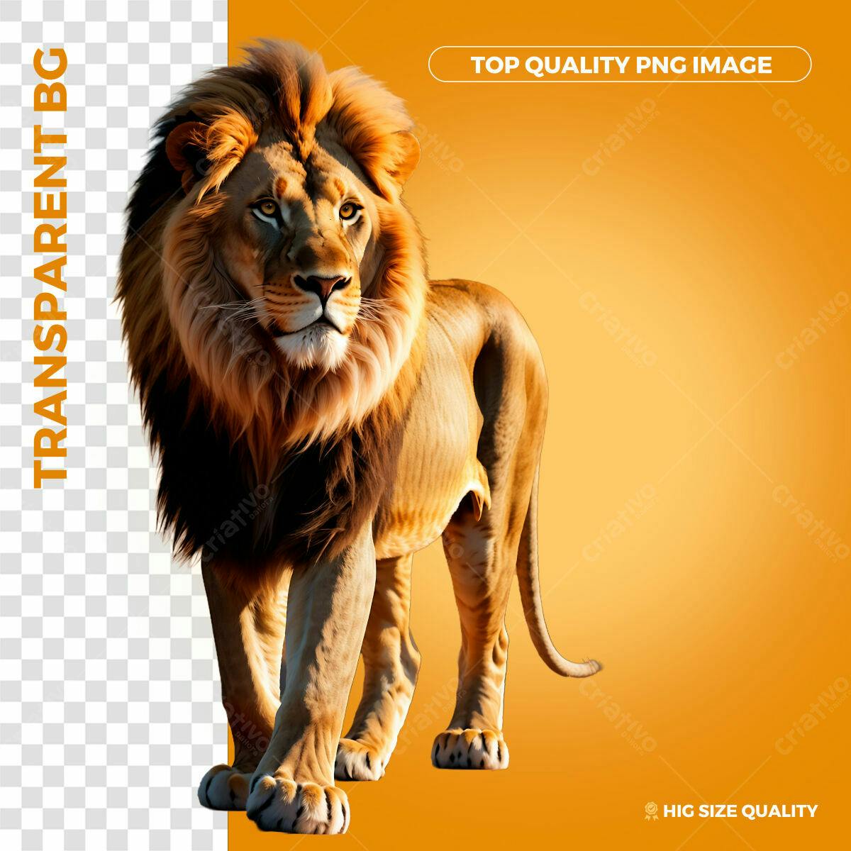 Imagem Leão PNG PSD Editável