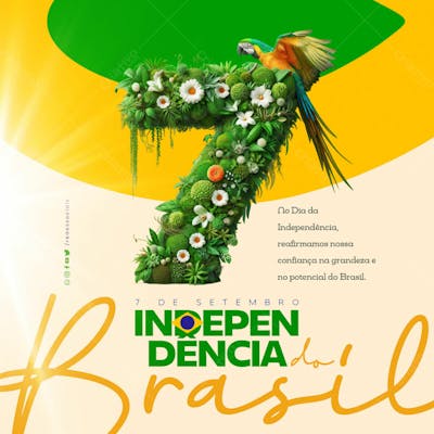 Social Media Independência Do Brasil 012