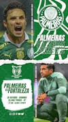 Flyer esportivo campeonato brasileiro 2024 palmeiras