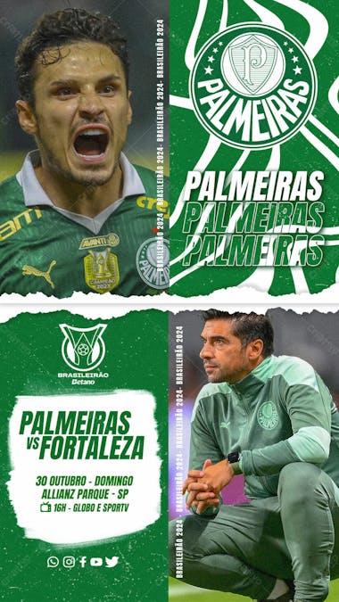 Flyer esportivo campeonato brasileiro 2024 palmeiras