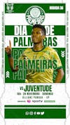 Flyer esportivo campeonato brasileiro 2024 dia de palmeiras