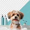 3d element, dog, pet shop, inside, bathtub, full of foam, 01