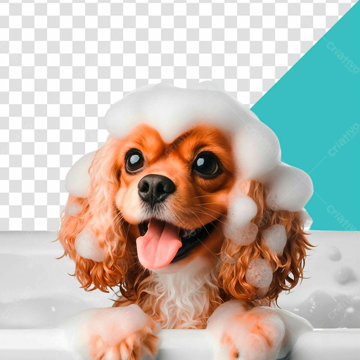 Imagem de Cachorro Banho PSD Editável