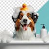 3d element dog pet shop inside a bathtub full of foam 05