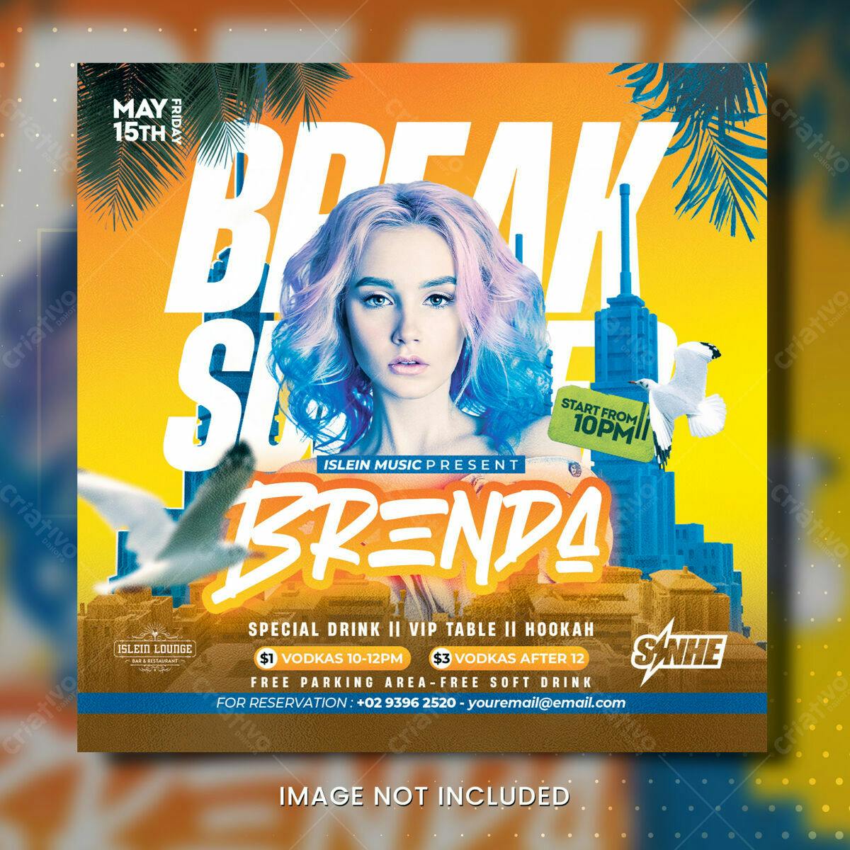 Flyer Festa com DJ Brenda PSD Editável
