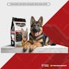 German shepherd, bag of dog food