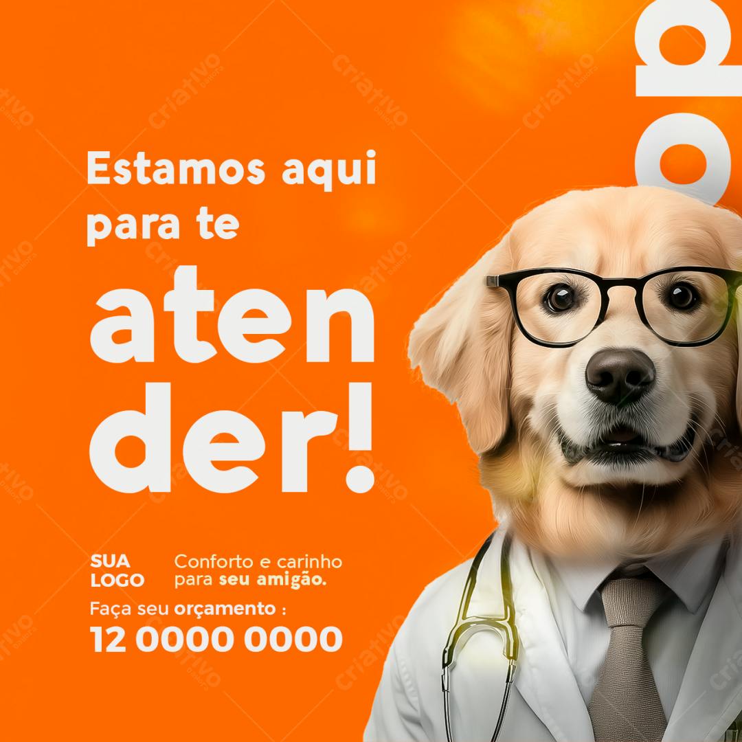 Flyer Veterinário com Golden Retriever PSD Editável